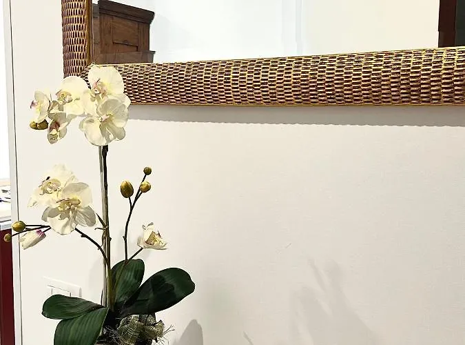 Apartment Graffiti *